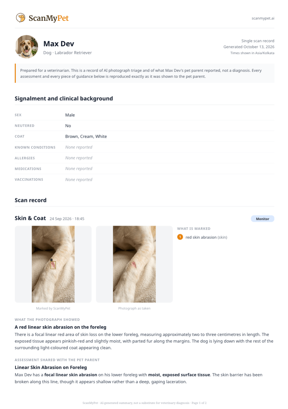 ScanMyPet detailed report with pet profile, scan photos, and assessment
