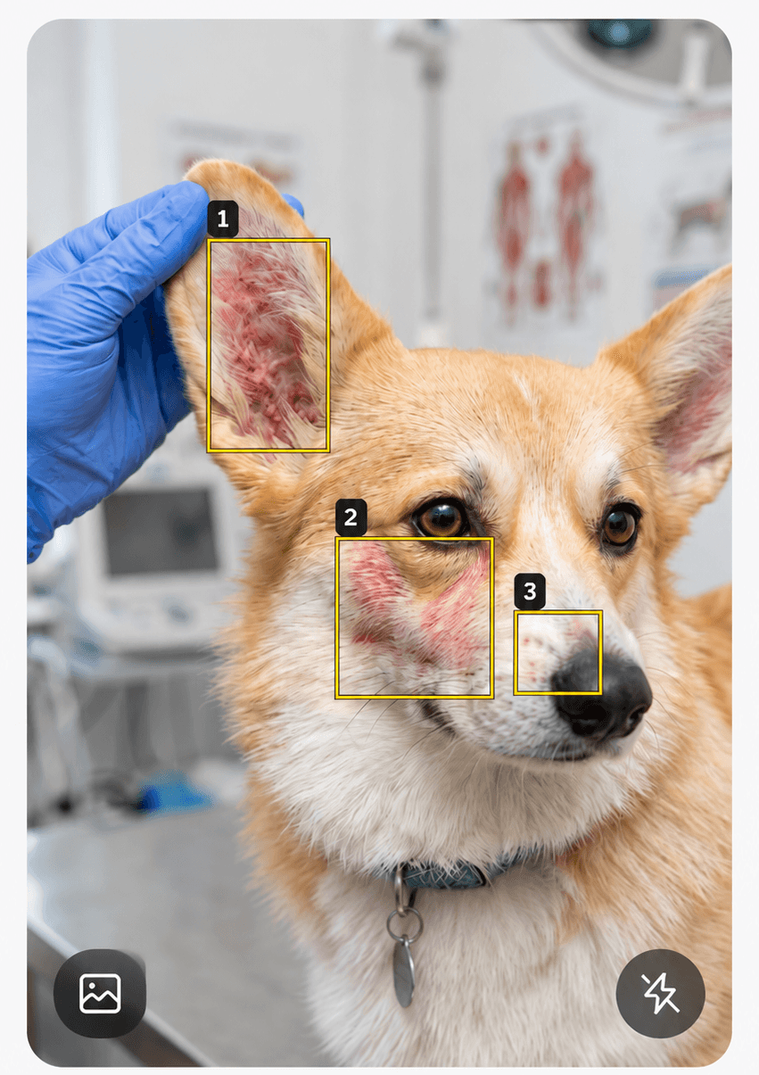 Camera viewfinder with AI-detected areas
