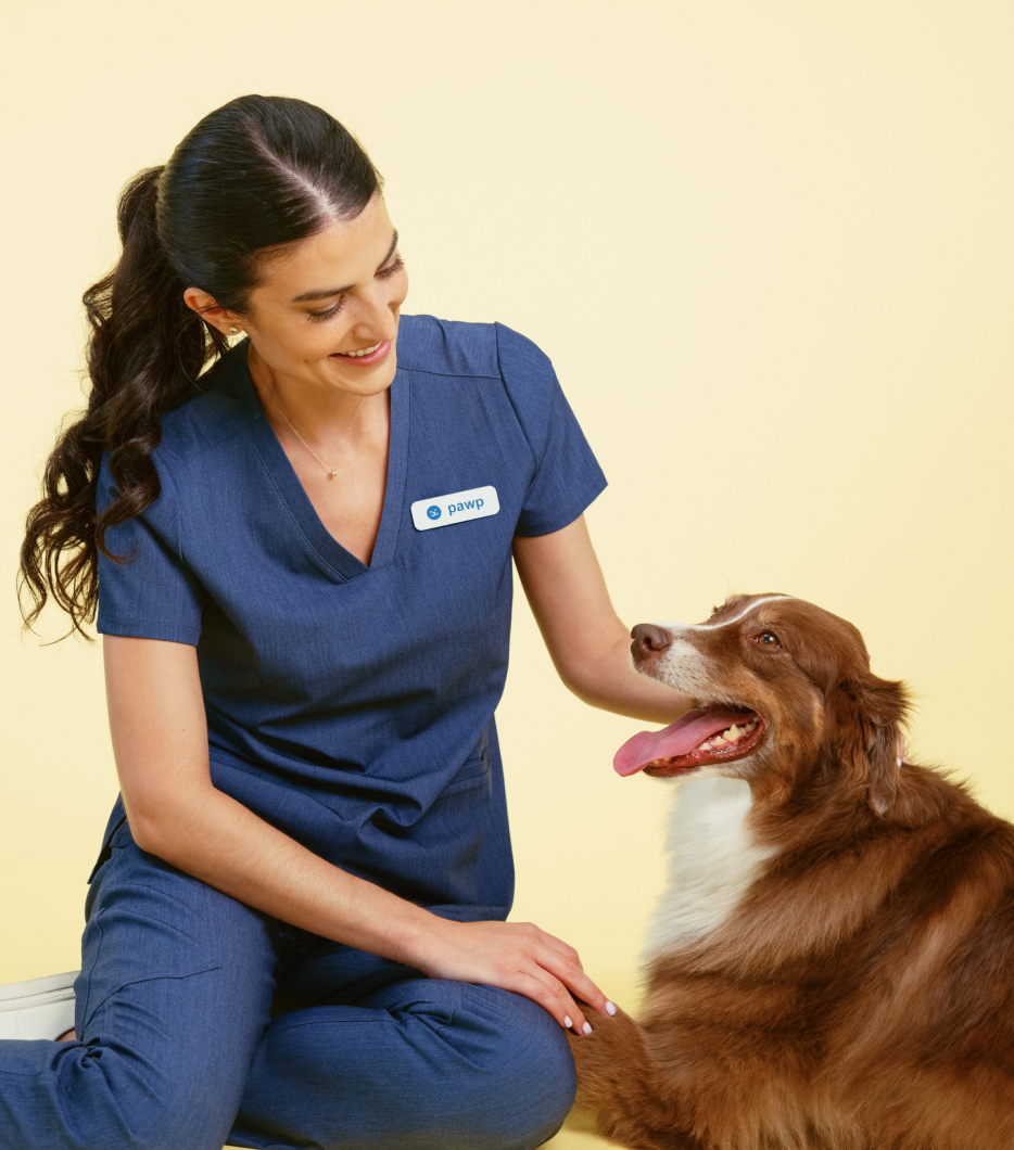 Veterinary with dog